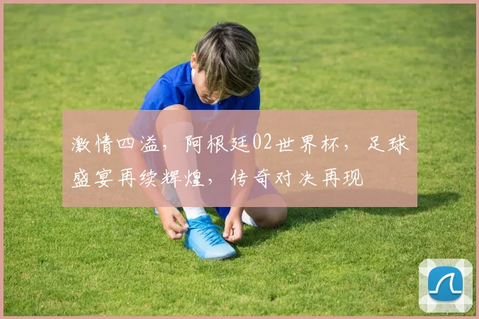 激情四溢，阿根廷02世界杯，足球盛宴再续辉煌，传奇对决再现