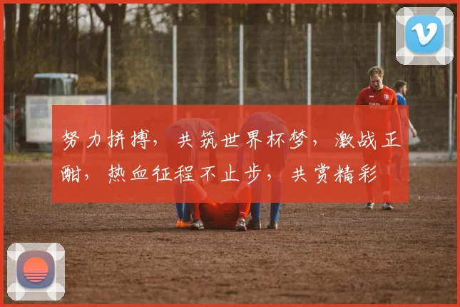 努力拼搏，共筑世界杯梦，激战正酣，热血征程不止步，共赏精彩
