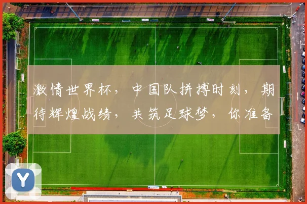 激情世界杯，中国队拼搏时刻，期待辉煌战绩，共筑足球梦，你准备好了吗