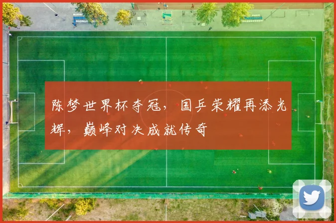陈梦世界杯夺冠，国乒荣耀再添光辉，巅峰对决成就传奇